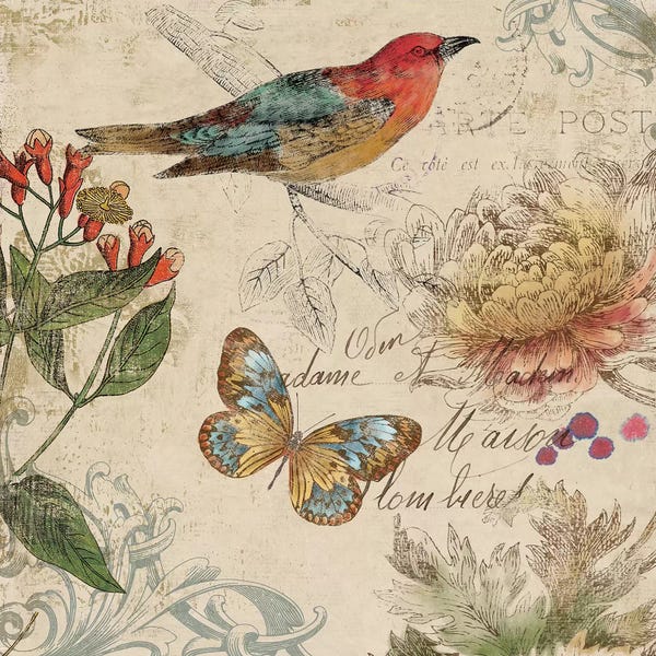 Aimee Wilson: Nature by Aimee Wilson
