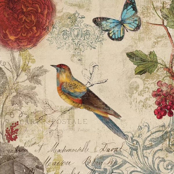 Aimee Wilson: Nature's Rhapsody by Aimee Wilson