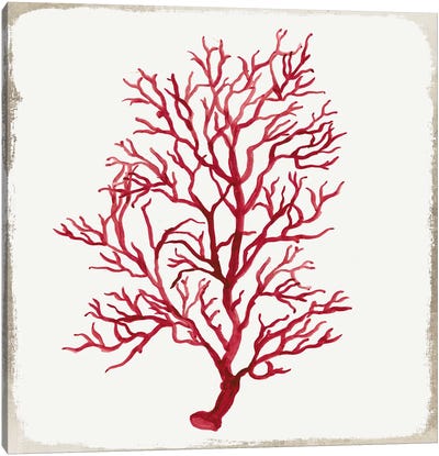 Red Coral IV Canvas Art Print - Coral Art
