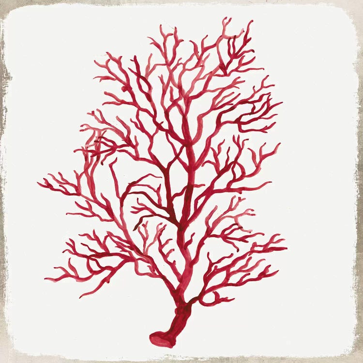 Red Coral IV
