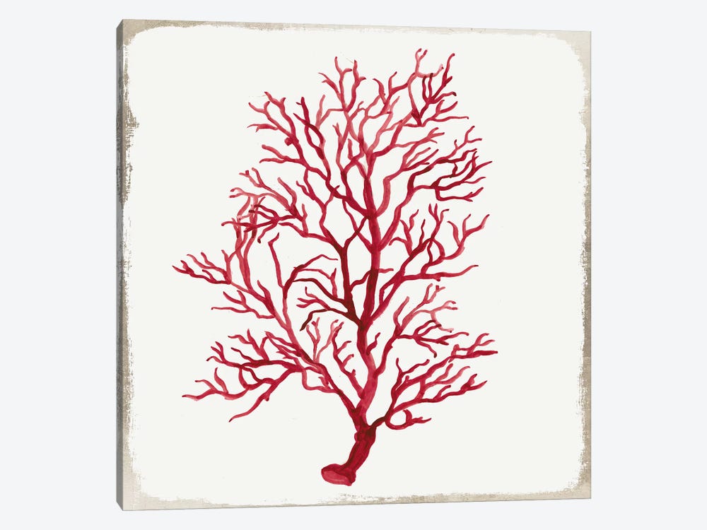 Red Coral IV by Aimee Wilson 1-piece Canvas Art Print