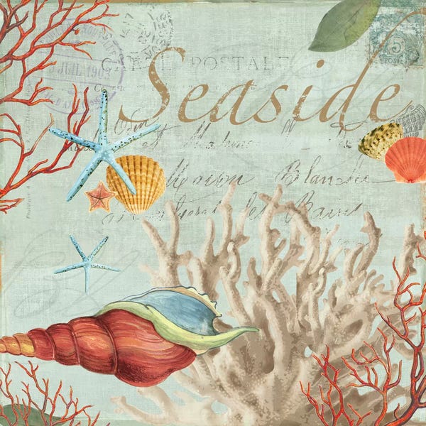 Sea Shells: Seaside by Aimee Wilson