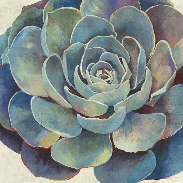 Aimee Wilson: Succulence I by Aimee Wilson