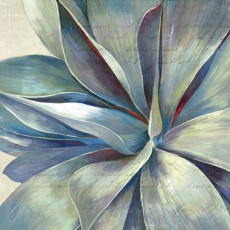 Succulence II by Aimee Wilson wall art