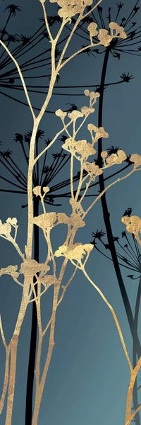 Aimee Wilson: Twilight Botanicals II by Aimee Wilson