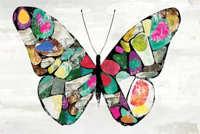 Butterfly by Aimee Wilson canvas print