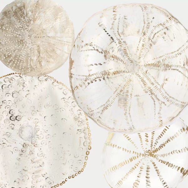 Sea Life: Sea Patterns II by Aimee Wilson