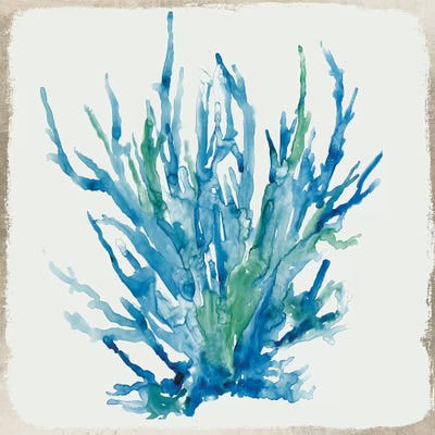 Blue Coral IV  by Aimee Wilson framed canvas print