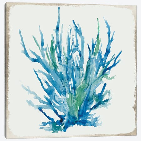 Blue Coral IV  Canvas Print #AWI33} by Aimee Wilson Canvas Print
