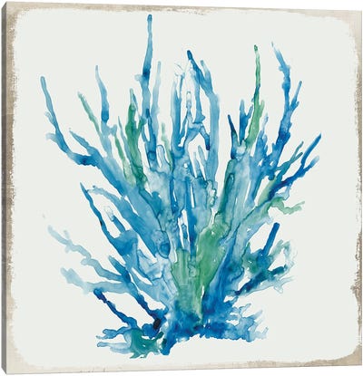Blue Coral IV  Canvas Art Print - Blue Tropics
