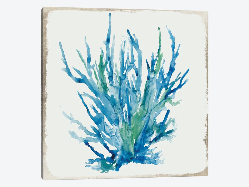 Blue Coral IV  by Aimee Wilson 1-piece Canvas Art