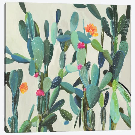 Cactus Garden Canvas Print #AWI349} by Aimee Wilson Canvas Print