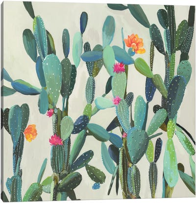 Cactus Garden Canvas Art Print - Aimee Wilson