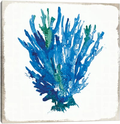 Blue Coral V Canvas Art Print - Blue Tropics