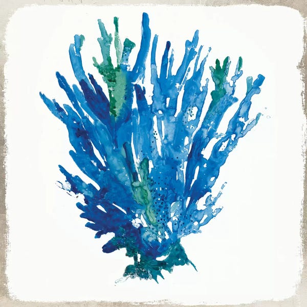 Coral: Blue Coral V by Aimee Wilson