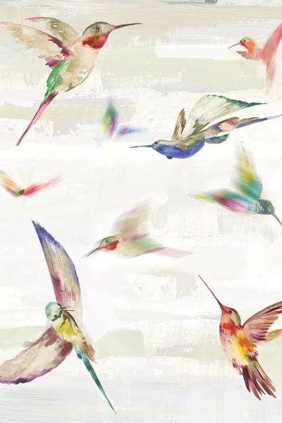 Hummingbirds: Humming II by Aimee Wilson