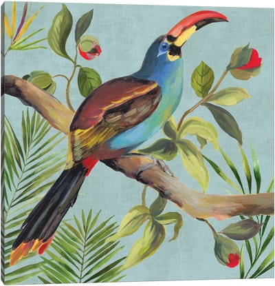 Paradise Toucan I Canvas Art Print