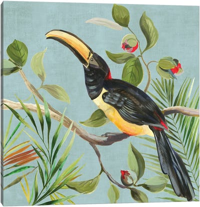 Paradise Toucan II Canvas Art Print