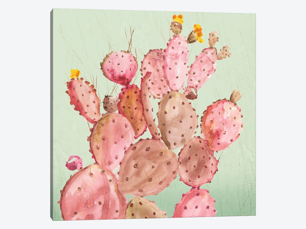 Pink Cacti by Aimee Wilson 1-piece Canvas Art
