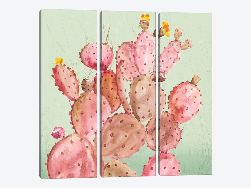 Pink Cacti by Aimee Wilson 3-piece Canvas Art