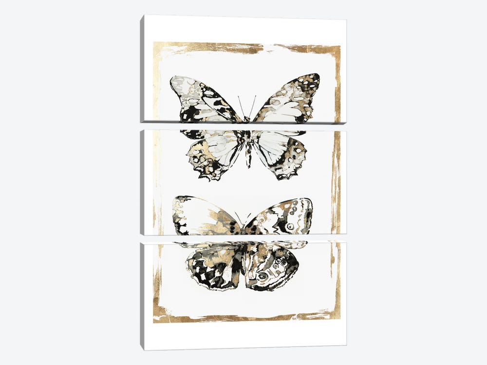 Butterfly Wings  by Aimee Wilson 3-piece Canvas Art