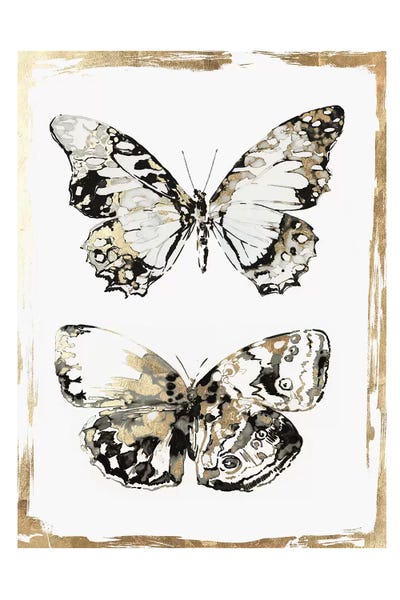 Black & White & Gold: Butterfly Wings  by Aimee Wilson