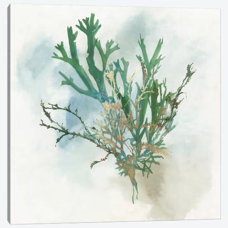 Green Coral I  Canvas Print #AWI390} by Aimee Wilson Canvas Artwork