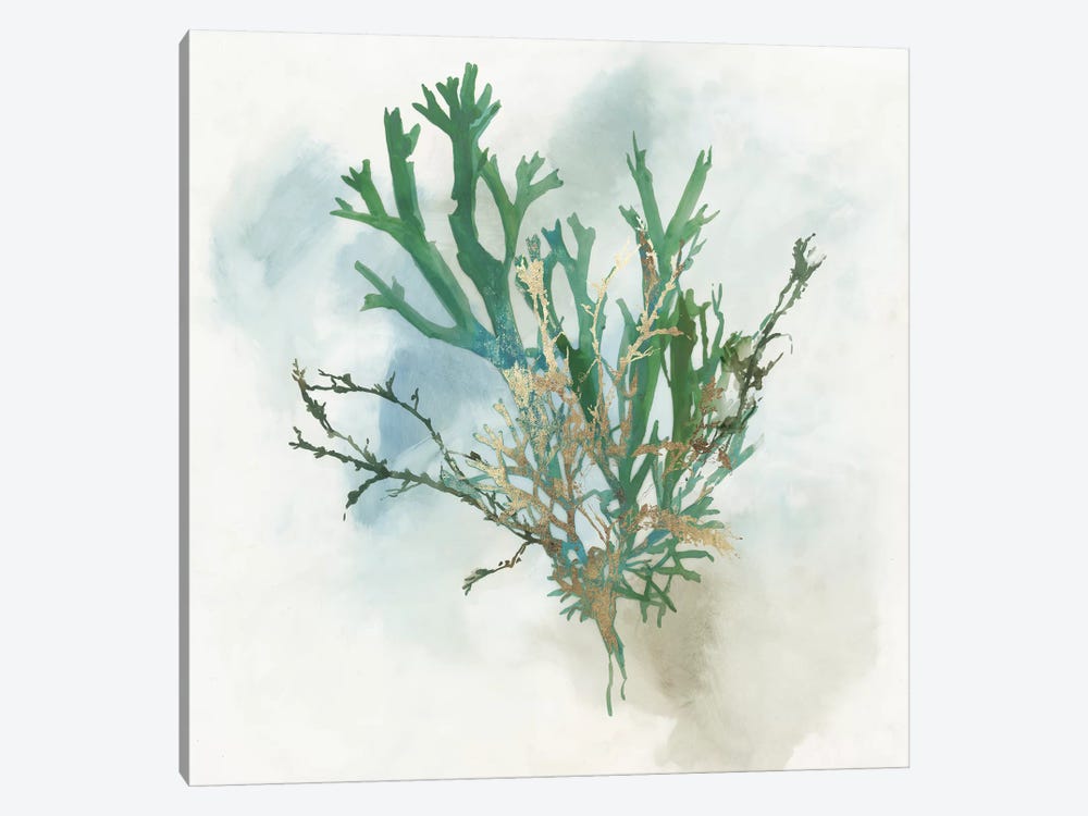 Green Coral I  by Aimee Wilson 1-piece Canvas Wall Art