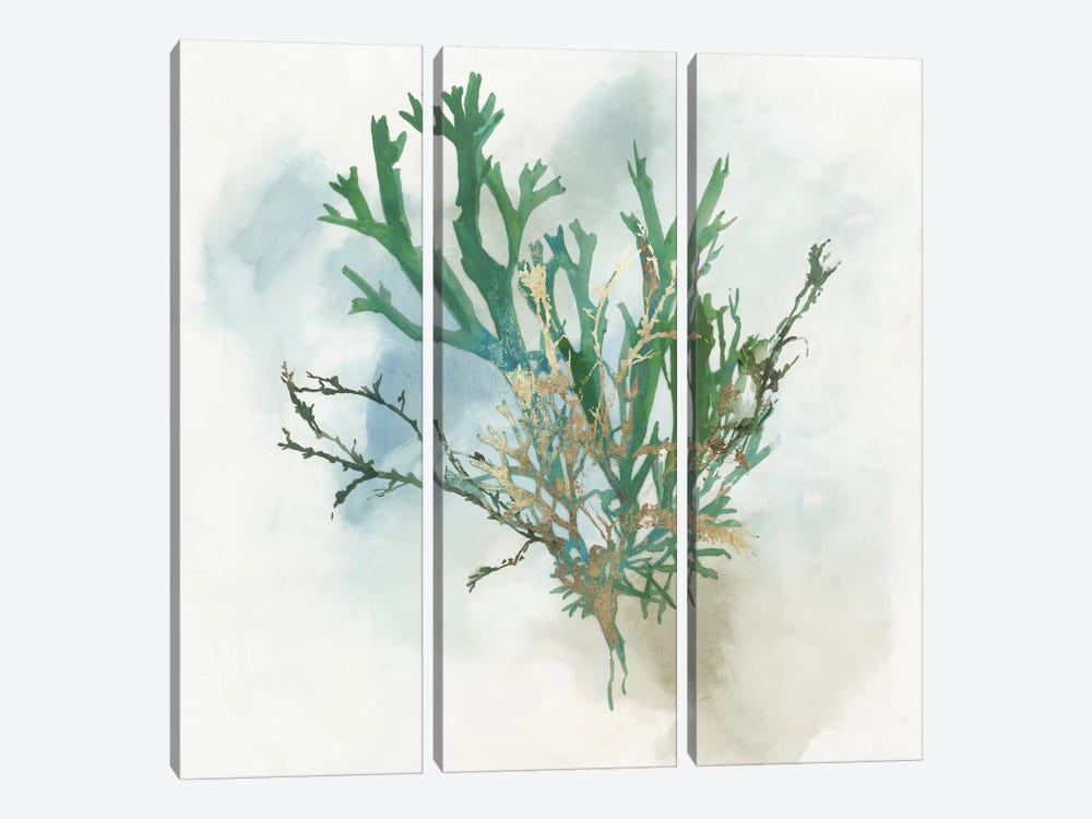 Green Coral I  by Aimee Wilson 3-piece Canvas Artwork