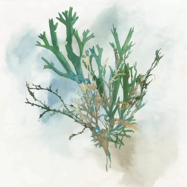 Aimee Wilson: Green Coral I  by Aimee Wilson
