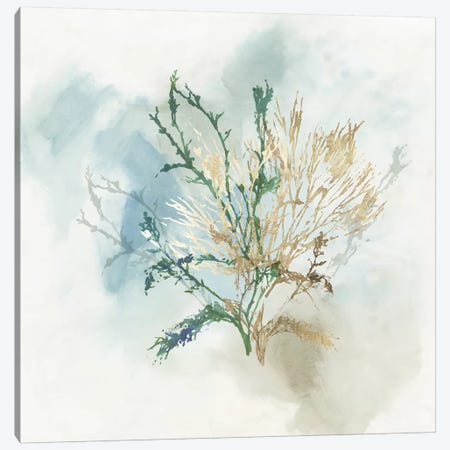 Green Coral II  Canvas Print #AWI391} by Aimee Wilson Canvas Art