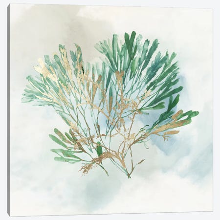 Green Coral III  Canvas Print #AWI392} by Aimee Wilson Canvas Art