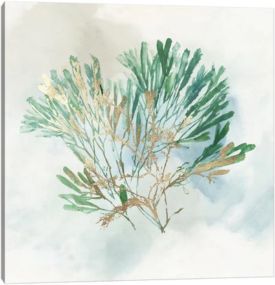 Green Coral III  Canvas Art Print - Coral Art