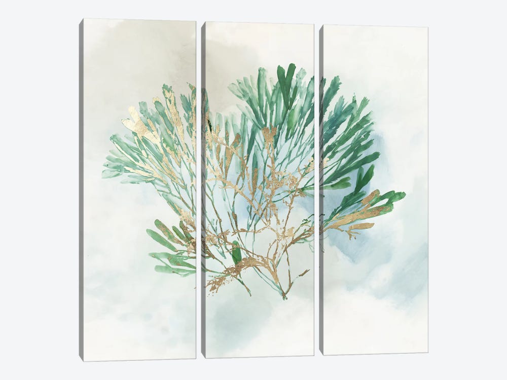 Green Coral III  by Aimee Wilson 3-piece Canvas Art