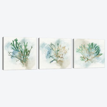 Green Coral Triptych Canvas Print Set #AWI3HSET003} by Aimee Wilson Canvas Print