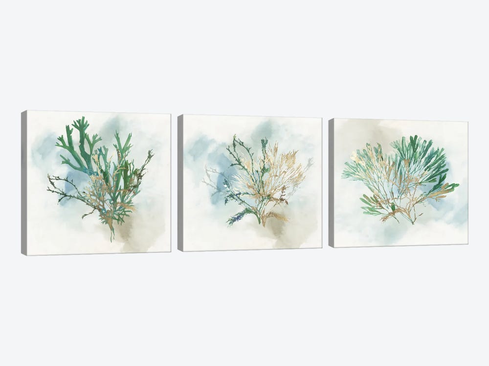 Green Coral Triptych by Aimee Wilson 3-piece Canvas Art
