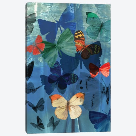 Fluttering Butterflies  Canvas Print #AWI410} by Aimee Wilson Canvas Art Print