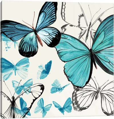 Monarch Butterflies  Canvas Art Print - Aimee Wilson
