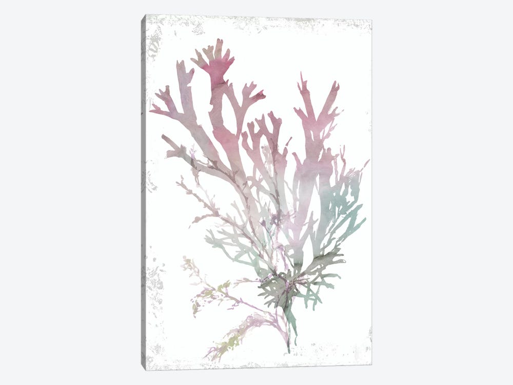 Pink Coral  by Aimee Wilson 1-piece Canvas Artwork
