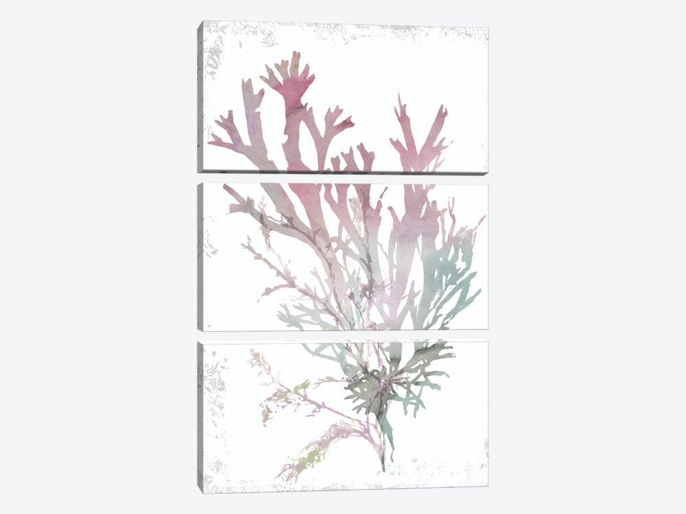 Pink Coral  by Aimee Wilson 3-piece Canvas Art