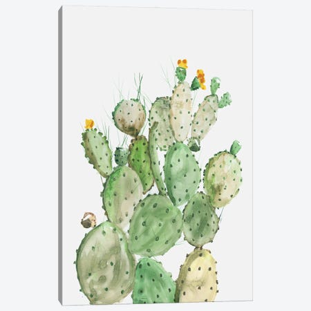 Sunny Cactus  Canvas Print #AWI431} by Aimee Wilson Canvas Print
