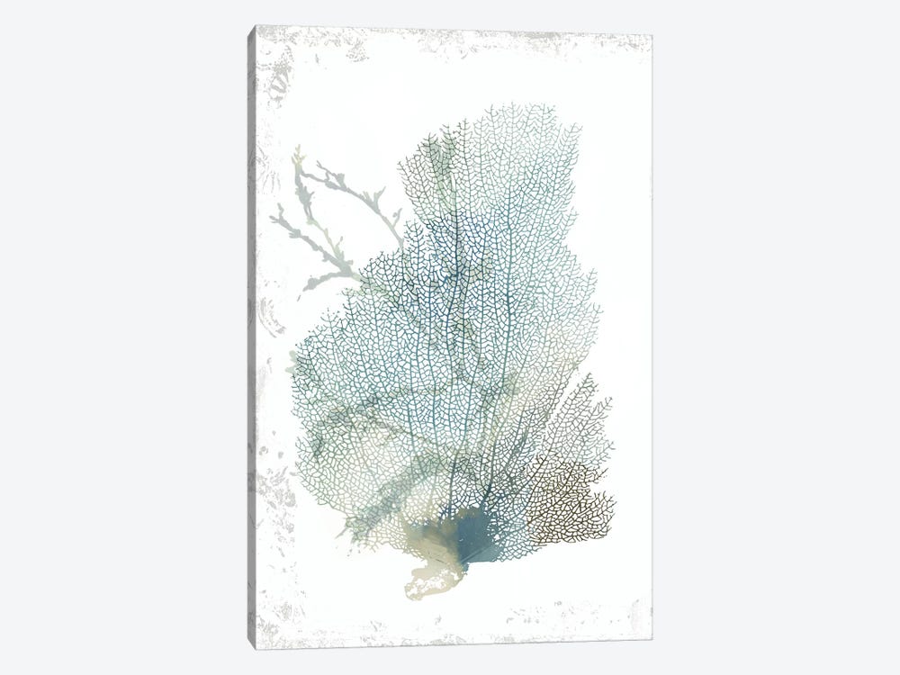 Teal Delicate Coral II  by Aimee Wilson 1-piece Canvas Art