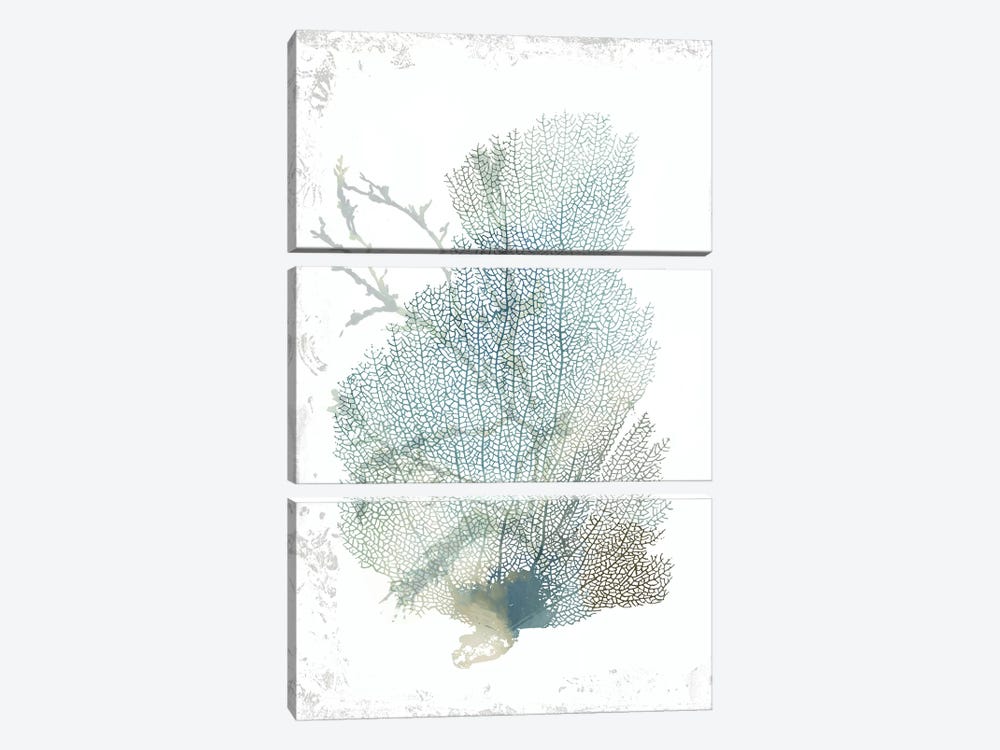 Teal Delicate Coral II  by Aimee Wilson 3-piece Canvas Wall Art