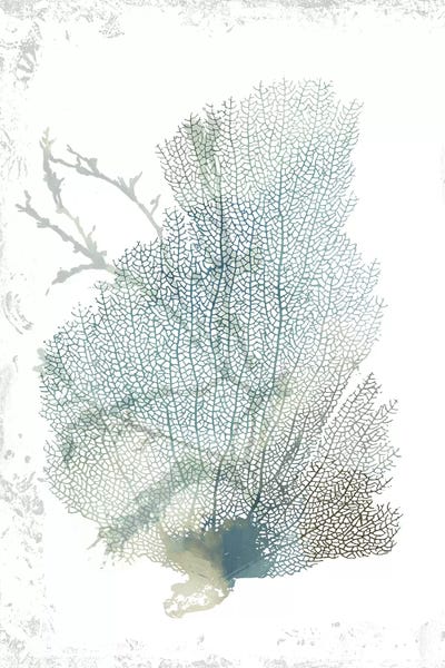 Aimee Wilson: Teal Delicate Coral II  by Aimee Wilson