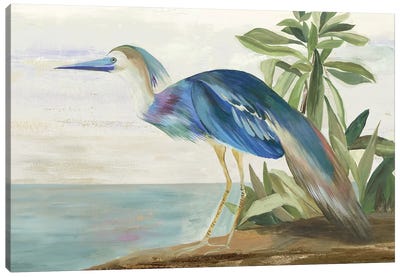 Season of Pease I Canvas Art Print - Heron Art