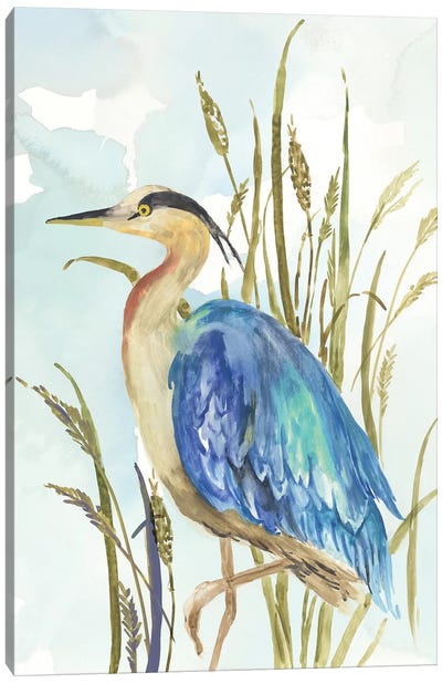 Little Blue Heron Canvas Art Print - Aimee Wilson