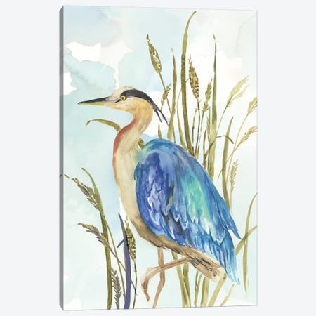 Little Blue Heron Canvas Print #AWI466} by Aimee Wilson Art Print