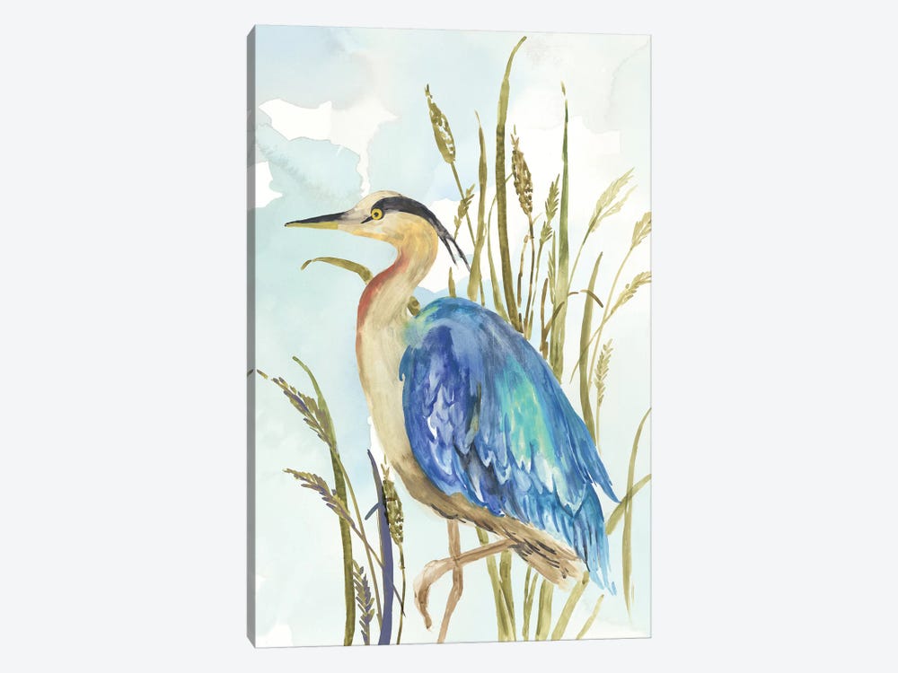 Little Blue Heron by Aimee Wilson 1-piece Canvas Art
