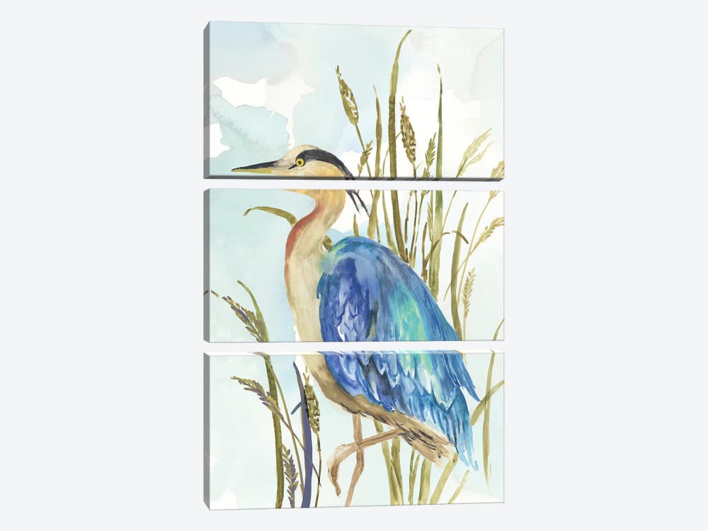 Little Blue Heron by Aimee Wilson 3-piece Canvas Art