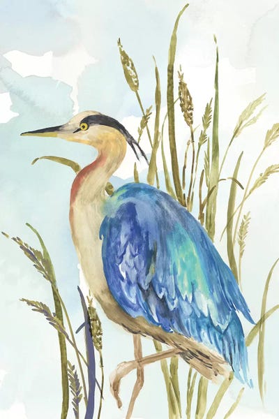 PI Creative Art: Little Blue Heron by Aimee Wilson